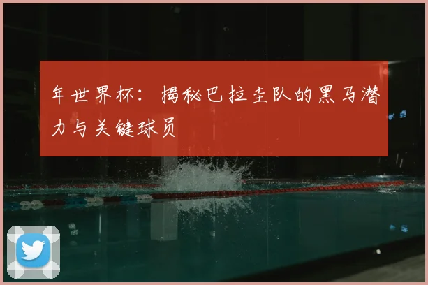 年世界杯：揭秘巴拉圭队的黑马潜力与关键球员
